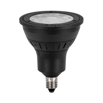 Beautiful Light Technology Corp.